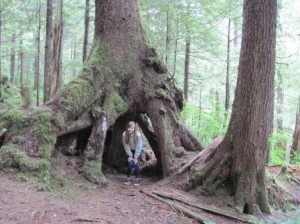 Explore the Tongass National Forest on a private Ketchikan Tour
