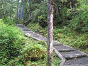 Alaska Rainforest Trail