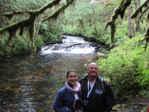 Scenic Creek Wild Wolf Tours