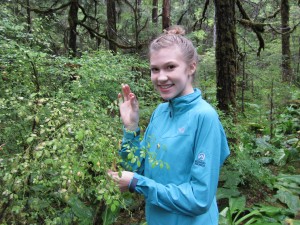 Wild Berries Ketchikan