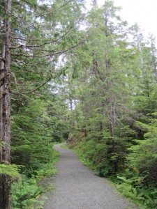 Nice Gravel Trail on the Ketchikan Rainforest Tour