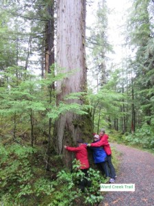 Tree Huggers on Ketchikan Rainforest Tour