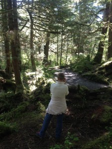 taking wildlife photos